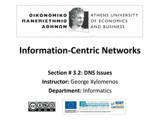 DNS Performance and Issues in Information-Centric Networks