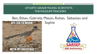 Young Scientists Investigate Wildlife Behavior and Habitat Effects