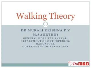 Decoding the Dynamics of Walking: An In-depth Exploration