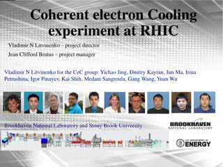 Coherent Electron Cooling Experiment at RHIC - Project Overview and Experimental Possibilities