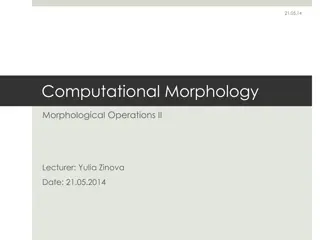 Morphological Operations in Computational Linguistics