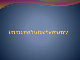 Overview of Immunohistochemistry (IHC) in Diagnostic and Research Laboratories