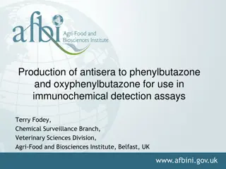 Antibody Production for Phenylbutazone and Oxyphenylbutazone Detection Assays in Veterinary Sciences