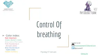 The Control of Breathing and Respiratory Rhythm