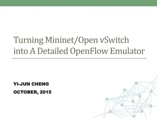 Detailed OpenFlow Emulation Using Mininet/OpenvSwitch