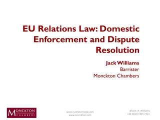 EU Relations Law: Domestic Enforcement and Dispute Resolution Overview