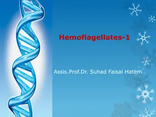 Understanding Hemoflagellates: Leishmania and Trypanosoma Species