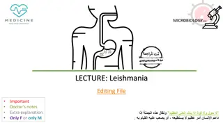 Leishmania: Parasites and Diseases Overview