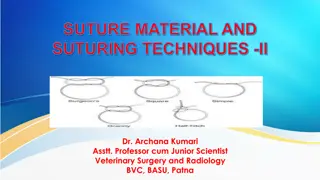 Suture Materials and Techniques in Veterinary Surgery: Insights and Guidelines