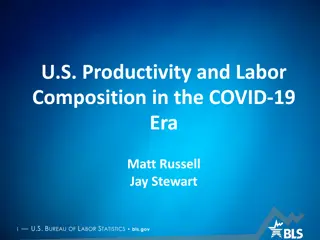 U.S. Labor Productivity Trends During COVID-19