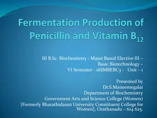 Production of Penicillin in Biochemistry and Biotechnology