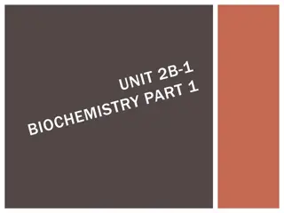 Organic Chemistry and Macromolecules