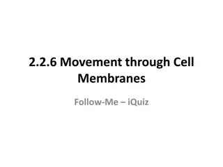 Osmosis in Cell Membranes