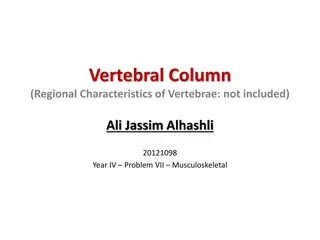 Understanding the Vertebral Column and Abnormal Curvatures