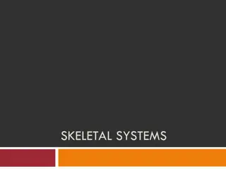 The Anatomy of the Skeletal System