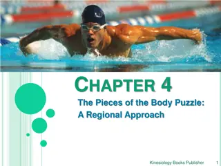 The Regional Anatomy of the Body: A Kinesiology Perspective