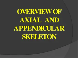 Understanding the Axial and Appendicular Skeleton in Vertebrates