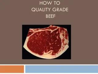 Quality Grades of Meat