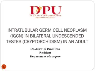 Rare Case of Bilateral Undescended Testes with Intratubular Germ Cell Neoplasm in an Adult