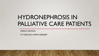 Management of Hydronephrosis in Palliative Care Patients: Guidelines and Considerations