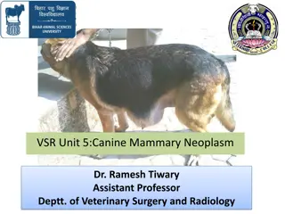 Canine Mammary Neoplasms: Overview and Management by Dr. Ramesh Tiwary