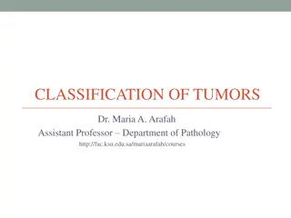 Classification of Tumors: A Comprehensive Overview