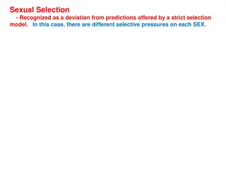 Sexual Selection in Evolution