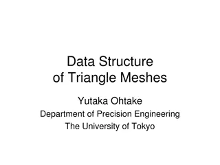 Understanding Data Structures in Triangle Meshes