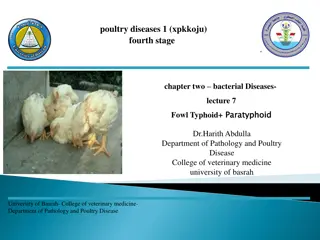 Fowl Typhoid and Paratyphoid in Poultry