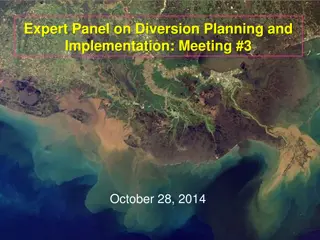 Expert Panel on Diversion Planning and Implementation Meeting Report