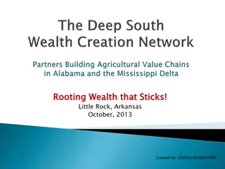 Deep South Wealth Creation Network Overview