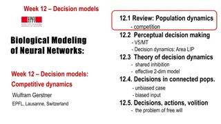 Decision Models in Neural Networks: Population Dynamics, Perceptual Decision Making, and Theory