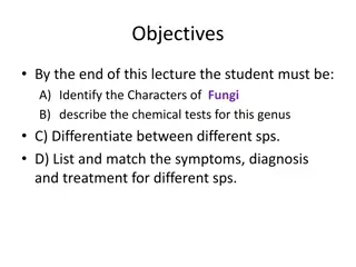 Fungi: Characteristics and Types in Medical Mycology