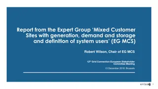 Expert Group Report on Mixed Customer Sites with Generation, Demand, and Storage