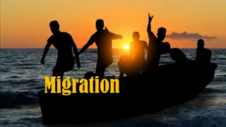 Migration: Causes, Impacts, and Challenges