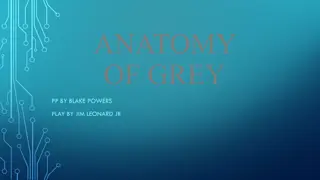 Exploring 'Anatomy of Grey' by Jim Leonard Jr.: Unraveling Themes of Love, Destiny, and Grief