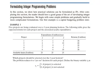 Optimization Problem for New Store Placement Decision-Making