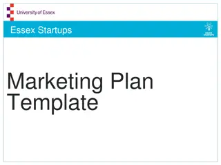 Comprehensive Marketing Plan Template for Essex Startups