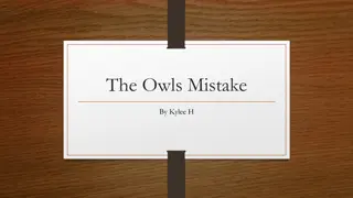 The Owl's Mistake - A Story of Identity and Acceptance