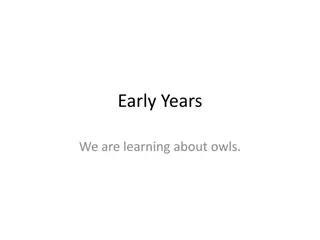 Learning About Owls in Early Years