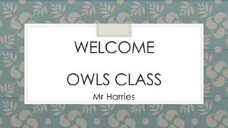 Managing Student Behavior at Owl's Class with Mr. Harries