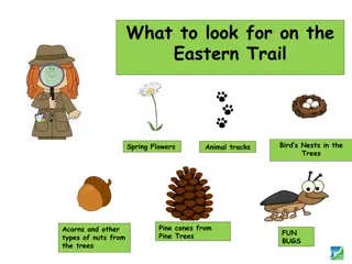 Exploring Nature on the Eastern Trail