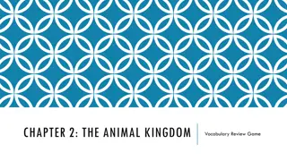 Animal Kingdom Vocabulary Review Game