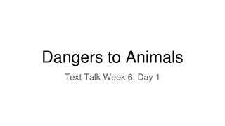 Dangers to Animals: Predators and Habitat Loss