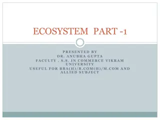 Ecosystems: Components and Interactions