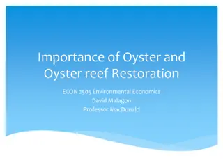 Importance of Oyster and Oyster Reef Restoration in Environmental Economics