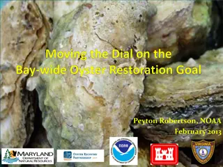 Oyster Restoration Efforts in Chesapeake Bay