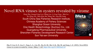 Novel RNA Viruses in Oysters Revealed by Virome Study