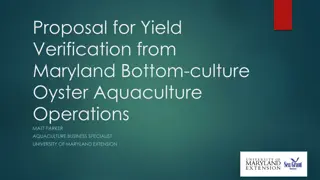 Yield Verification Study for Maryland Bottom-culture Oyster Aquaculture