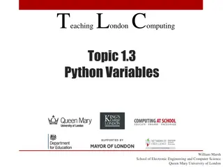 Python Variables Through Metaphors and Examples